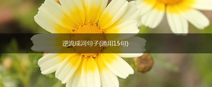 逆流成河句子(通用15句),第1张