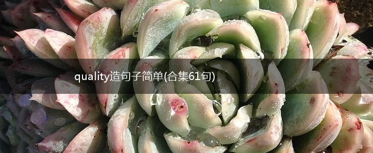 quality造句子简单(合集61句),第1张