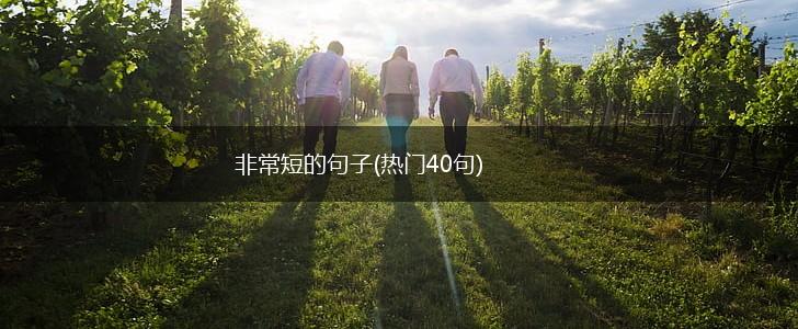 非常短的句子(热门40句),第1张