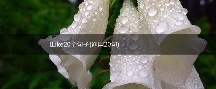ILike20个句子(通用20句),第1张