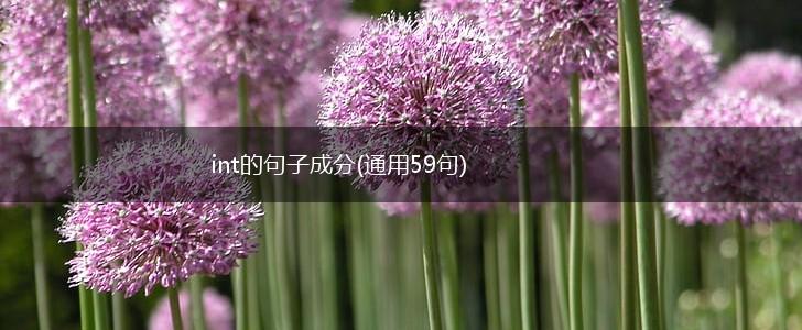 int的句子成分(通用59句),第1张