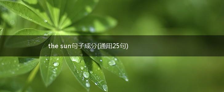 the sun句子成分(通用25句),第1张
