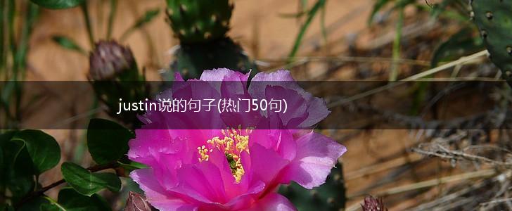 justin说的句子(热门50句),第1张