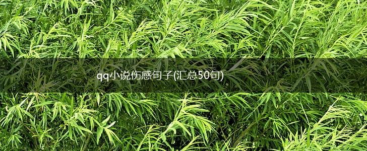 qq小说伤感句子(汇总50句),第1张