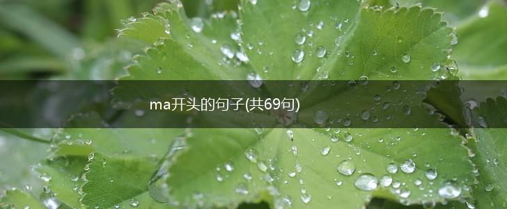 ma开头的句子(共69句),第1张