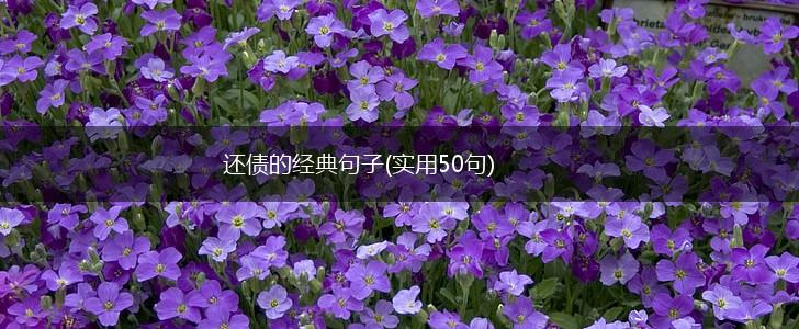 还债的经典句子(实用50句),第1张