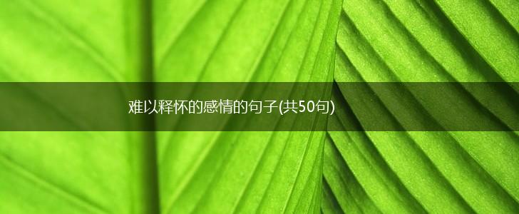 难以释怀的感情的句子(共50句),第1张