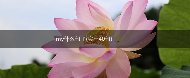 my什么句子(实用40句),第1张