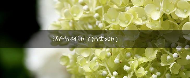 适合备胎的句子(合集50句),第1张
