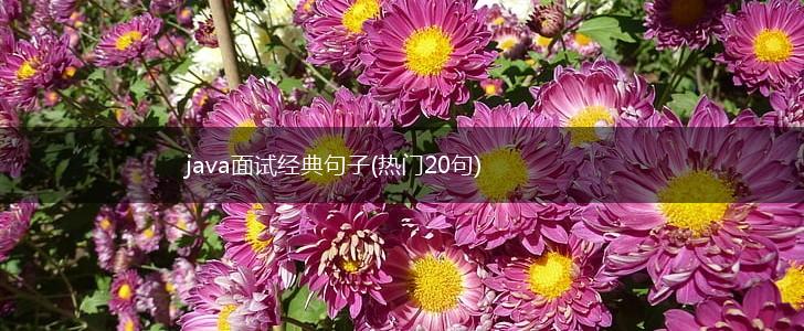 java面试经典句子(热门20句),第1张