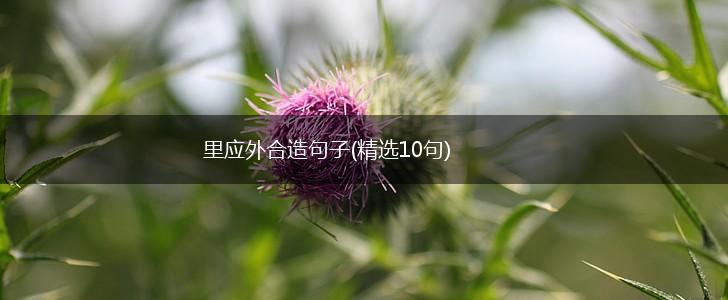 里应外合造句子(精选10句),第1张