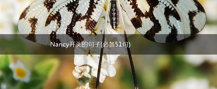 Nancy开头的句子(必备51句),第1张