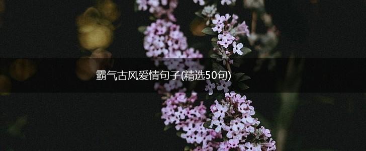 霸气古风爱情句子(精选50句),第1张