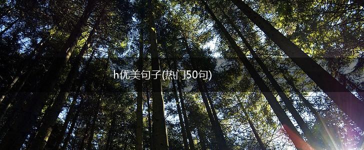 h优美句子(热门50句),第1张