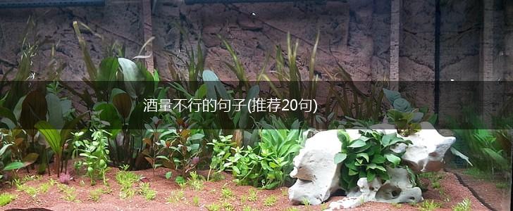 酒量不行的句子(推荐20句),第1张