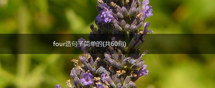 four造句子简单的(共60句),第1张