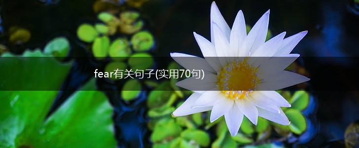 fear有关句子(实用70句),第1张