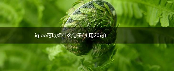 igloo可以组什么句子(实用20句),第1张