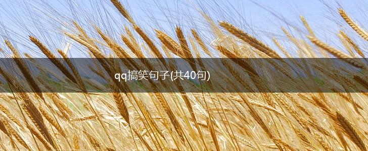 qq搞笑句子(共40句),第1张
