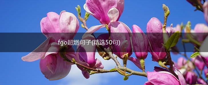 fgo超燃句子(精选50句),第1张