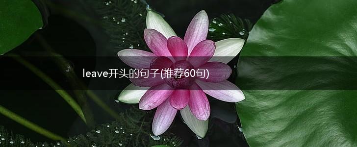 leave开头的句子(推荐60句),第1张