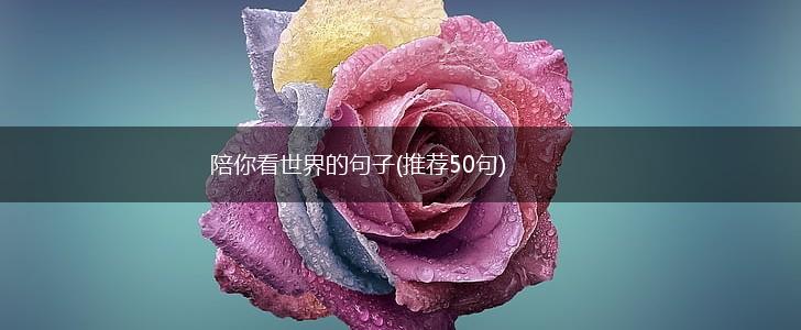 陪你看世界的句子(推荐50句),第1张