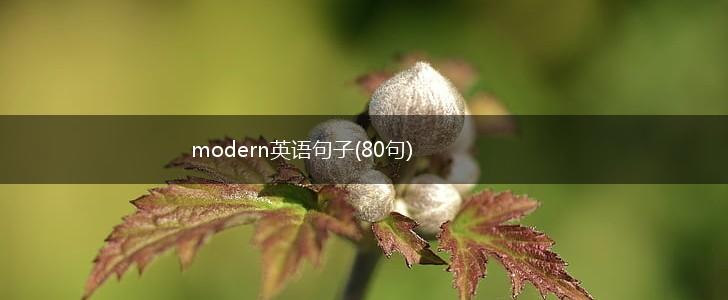 modern英语句子(80句),第1张