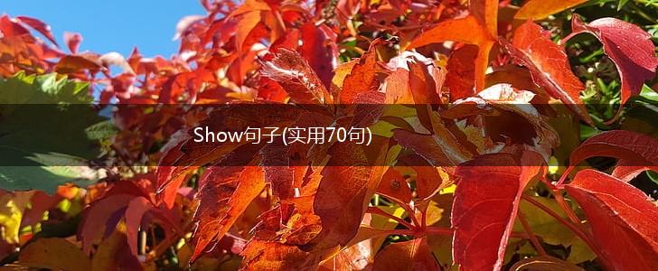 Show句子(实用70句),第1张