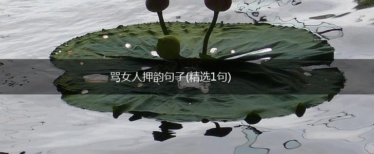 骂女人押韵句子(精选1句),第1张