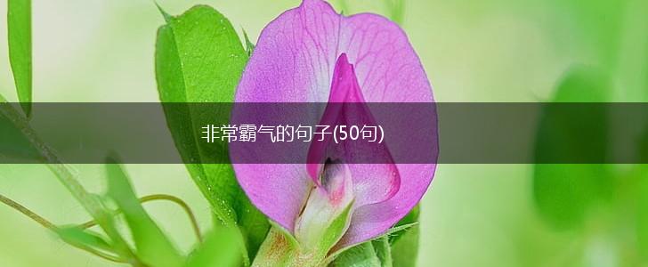 非常霸气的句子(50句),第1张