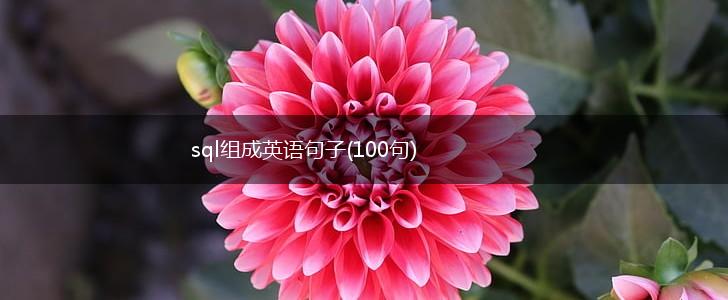 sql组成英语句子(100句),第1张