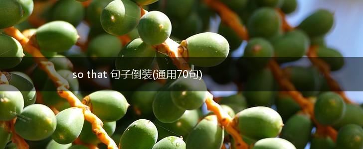 so that 句子倒装(通用70句),第1张