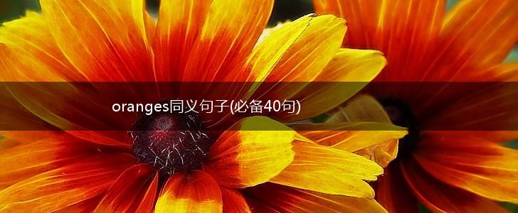 oranges同义句子(必备40句),第1张