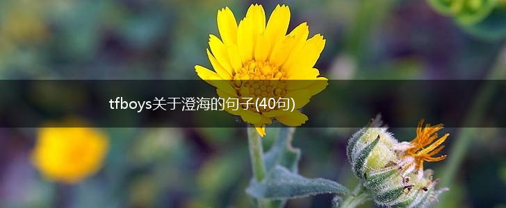 tfboys关于澄海的句子(40句),第1张