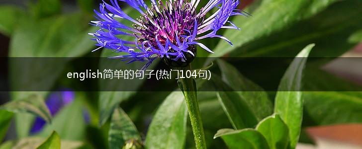 english简单的句子(热门104句),第1张