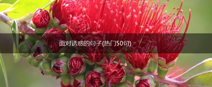 面对诱惑的句子(热门50句),第1张
