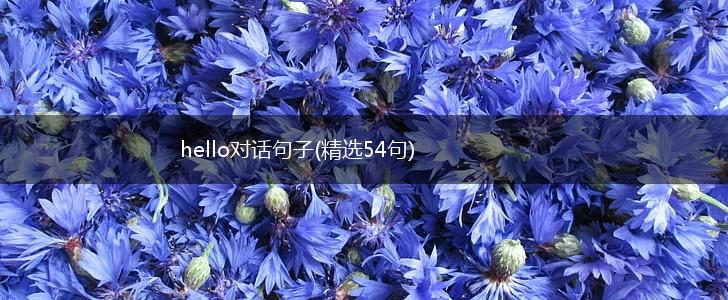 hello对话句子(精选54句),第1张