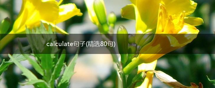 calculate句子(精选80句),第1张