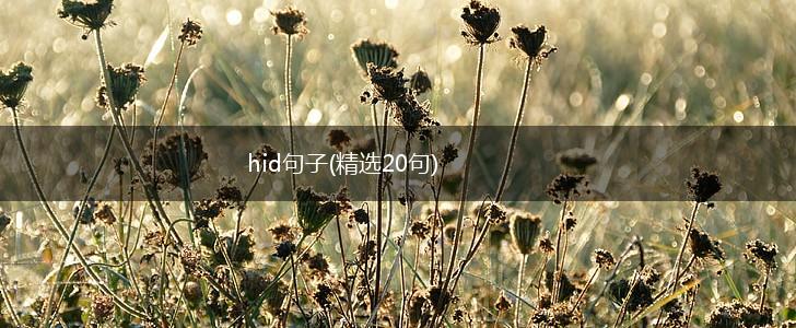 hid句子(精选20句),第1张
