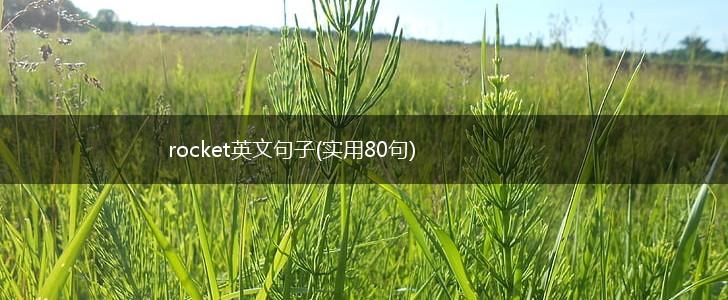 rocket英文句子(实用80句),第1张