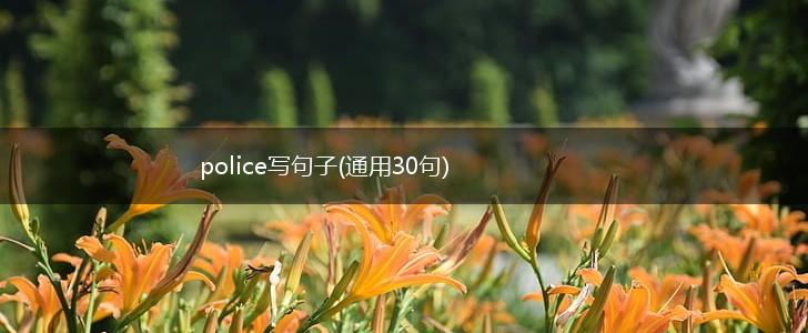 police写句子(通用30句),第1张
