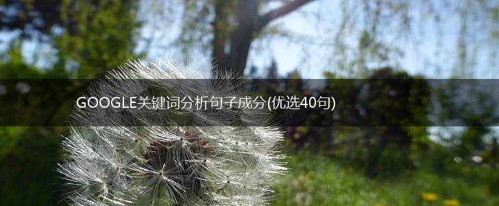 GOOGLE关键词分析句子成分(优选40句),第1张