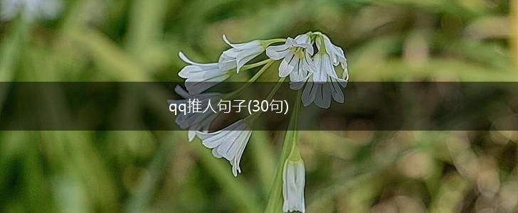 qq推人句子(30句),第1张