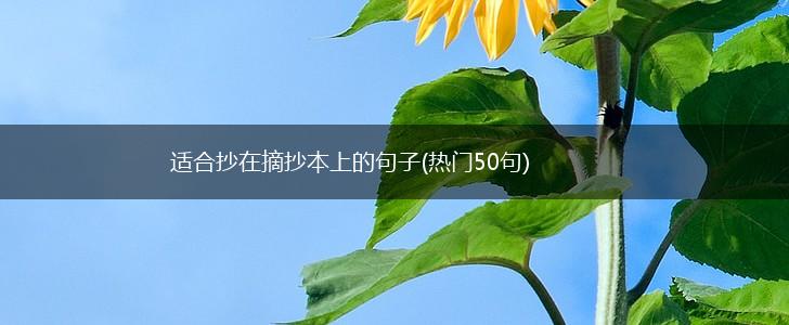适合抄在摘抄本上的句子(热门50句),第1张