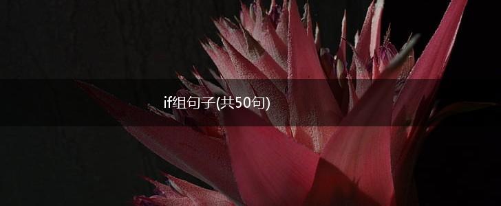 if组句子(共50句),第1张