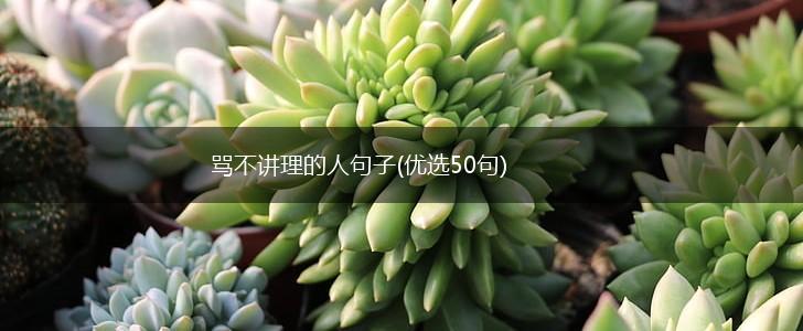 骂不讲理的人句子(优选50句),第1张