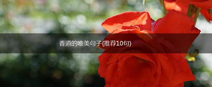 香道的唯美句子(推荐10句),第1张