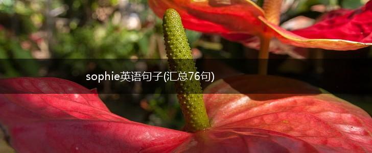 sophie英语句子(汇总76句),第1张