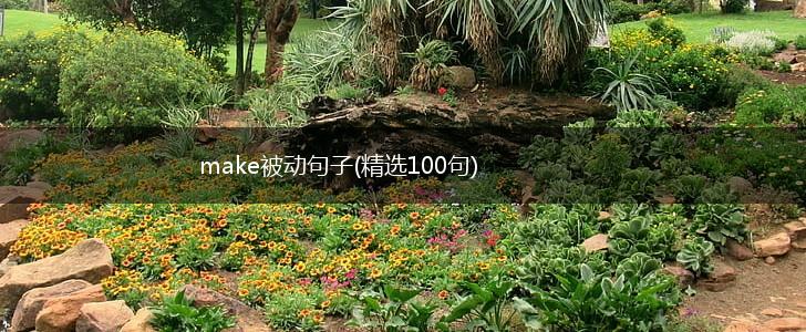 make被动句子(精选100句),第1张