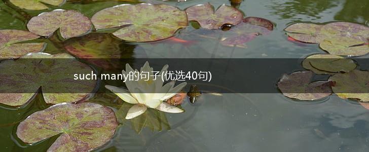 such many的句子(优选40句),第1张